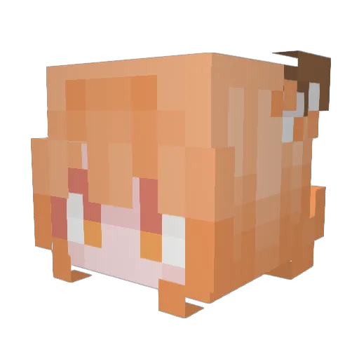 Gefesha Minecraft avatar head, 3D render