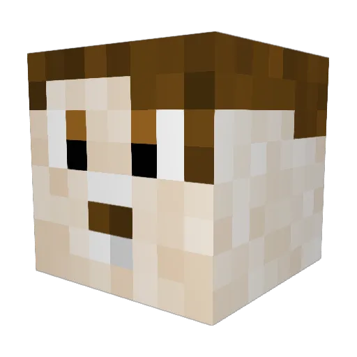 Gehparth Minecraft avatar head, 3D render