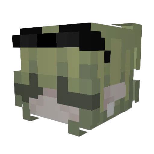 Geiseln Minecraft avatar head, 3D render