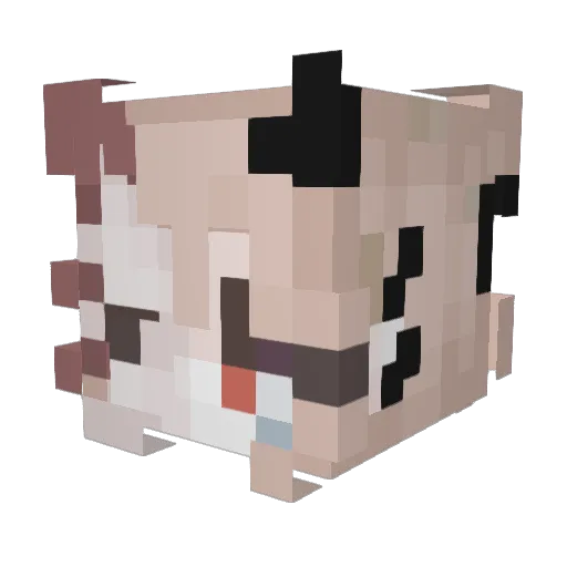 Geissel_ Minecraft avatar head, 3D render