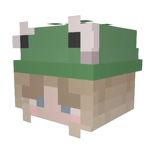 Gekko617 Minecraft avatar head, 3D render