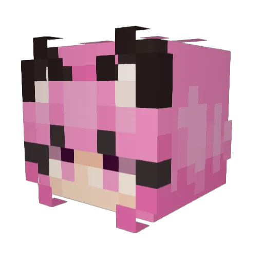 Gela102o0 Minecraft avatar head, 3D render