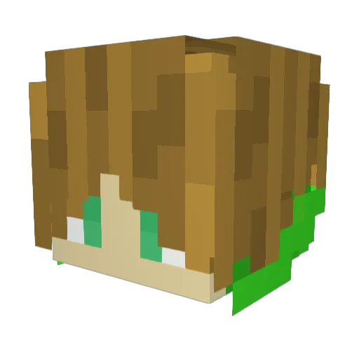 Gellert_ Minecraft avatar head, 3D render