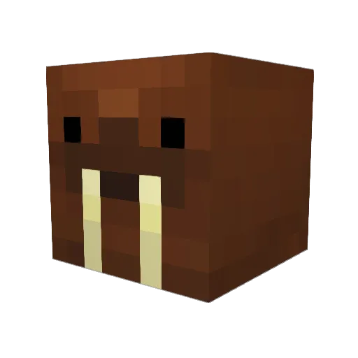 Gelo188 Minecraft avatar head, 3D render