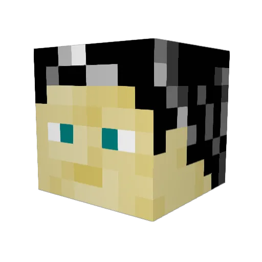 Gemini5865 Minecraft avatar head, 3D render