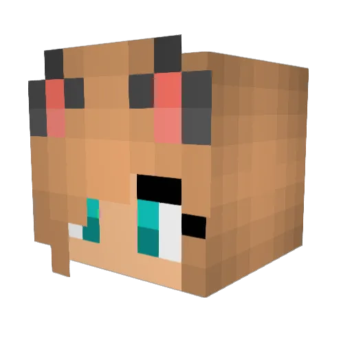 Gemini_rmp Minecraft avatar head, 3D render
