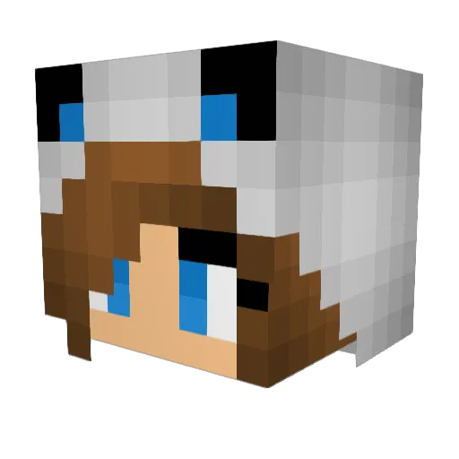 Gems123 Minecraft avatar head, 3D render