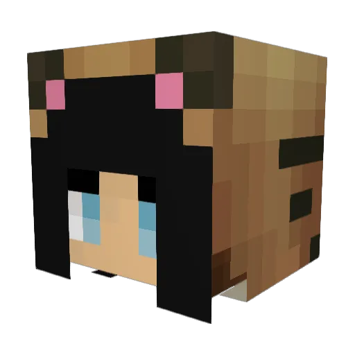 Gemstone45 Minecraft avatar head, 3D render