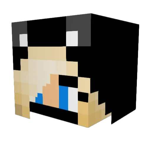 Gemtiger01 Minecraft avatar head, 3D render
