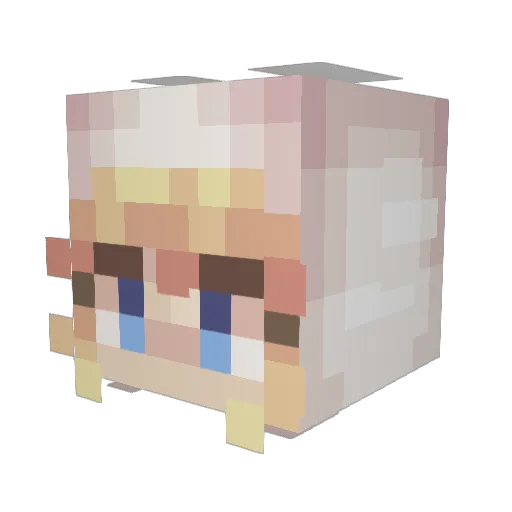 Gen005 Minecraft avatar head, 3D render