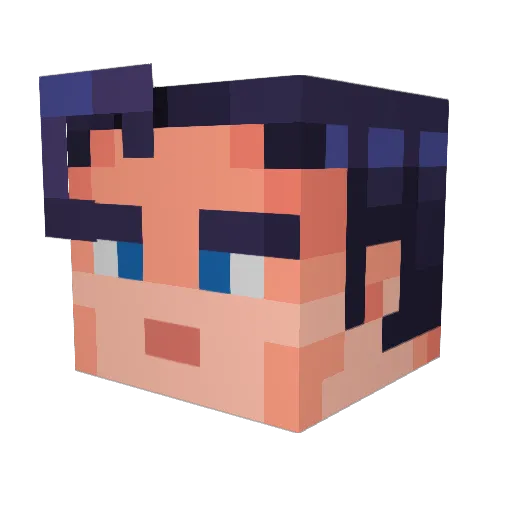 Gen_Slappybags Minecraft avatar head, 3D render