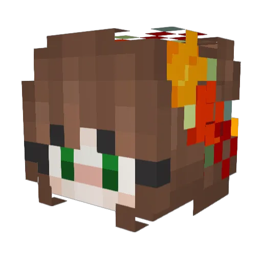 Genadok Minecraft avatar head, 3D render