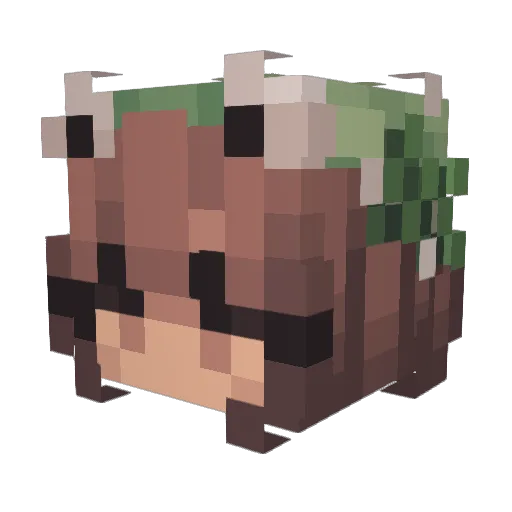 Genatoad Minecraft avatar head, 3D render