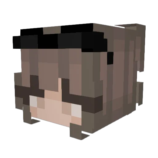 GenauDeswegen Minecraft avatar head, 3D render