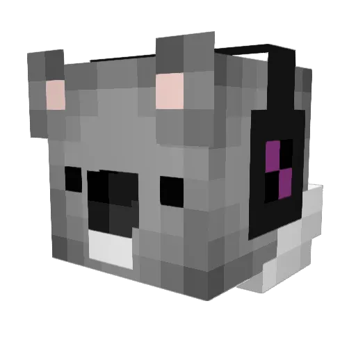 GencKoala_ Minecraft avatar head, 3D render