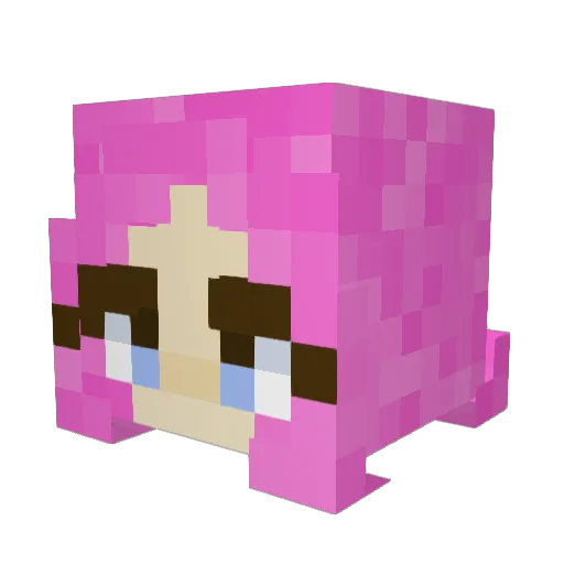 GenderTrans Minecraft avatar head, 3D render