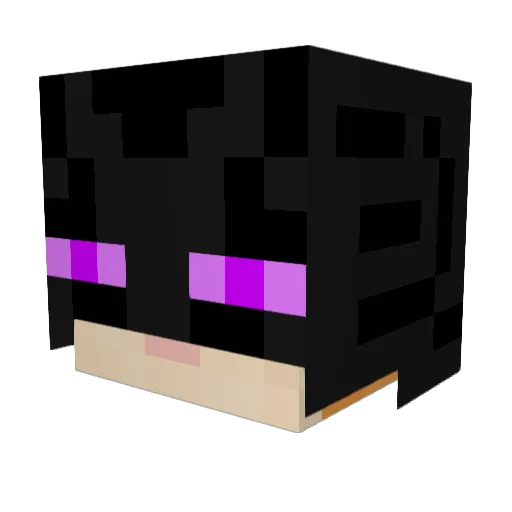 Genderi Minecraft avatar head, 3D render