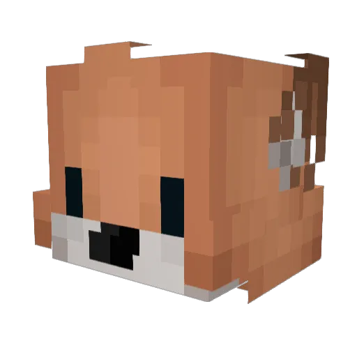 Geneava Minecraft avatar head, 3D render
