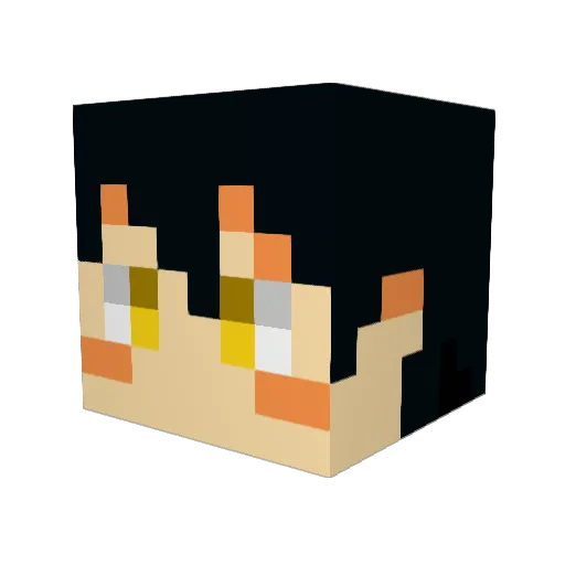 GeneralBlack Minecraft avatar head, 3D render