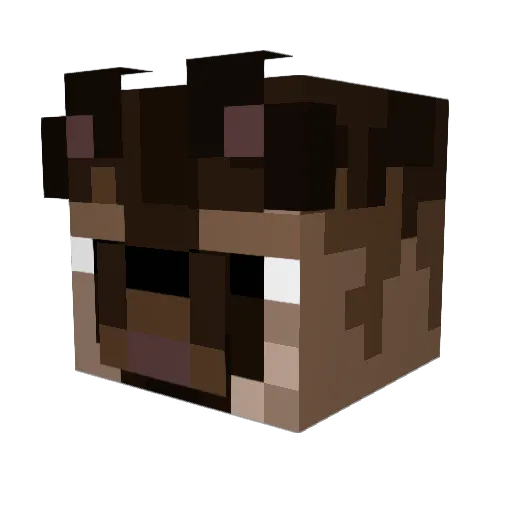 GeneralPsikose Minecraft avatar head, 3D render