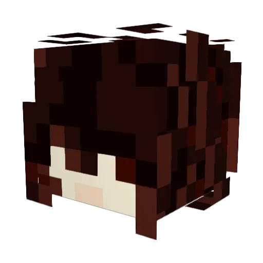 GeneralTicker Minecraft avatar head, 3D render