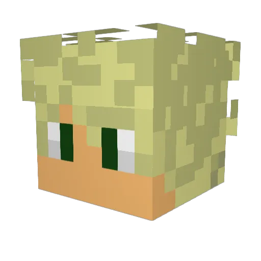 GeneralVoidd Minecraft avatar head, 3D render