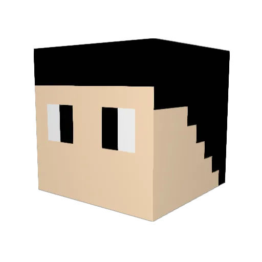 General_Dinnemok Minecraft avatar head, 3D render