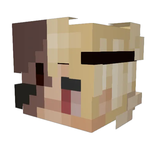 General_Falcon Minecraft avatar head, 3D render