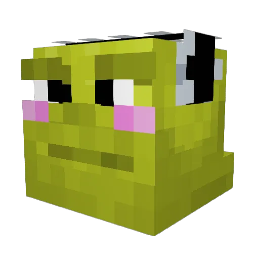 General_Jampa Minecraft avatar head, 3D render