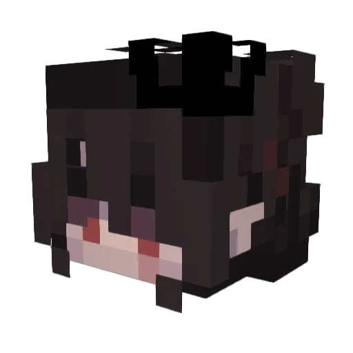 General_Seagull Minecraft avatar head, 3D render
