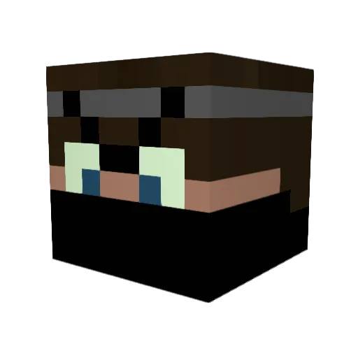 Generalbogi Minecraft avatar head, 3D render