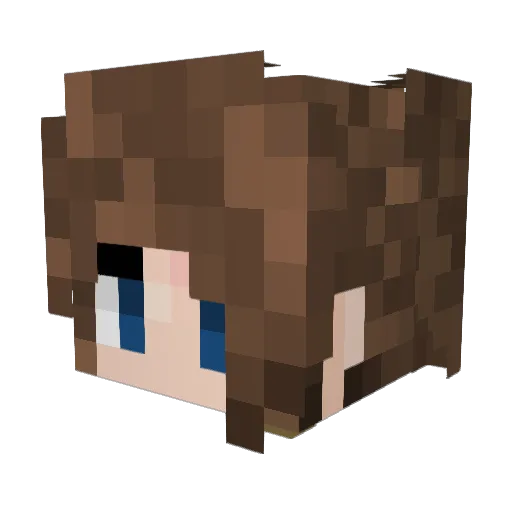 GenericSquidnoid Minecraft avatar head, 3D render