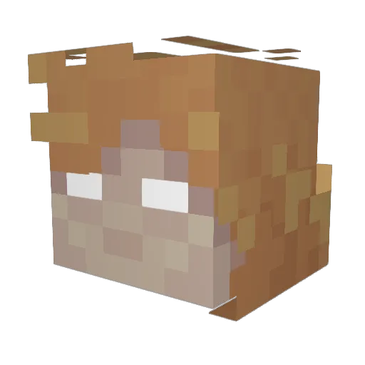 Genesis3216 Minecraft avatar head, 3D render