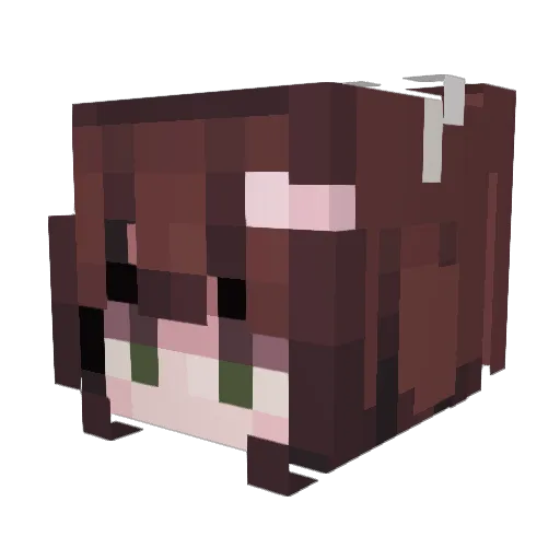 GenevieveRose Minecraft avatar head, 3D render