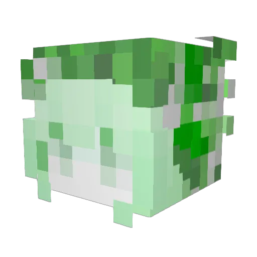 Genggui66 Minecraft avatar head, 3D render