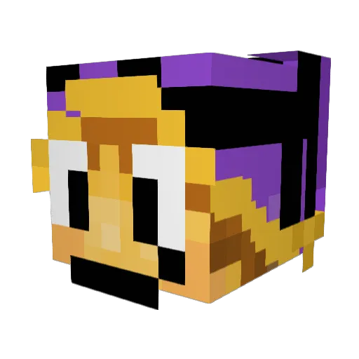 GeniusBaguette Minecraft avatar head, 3D render