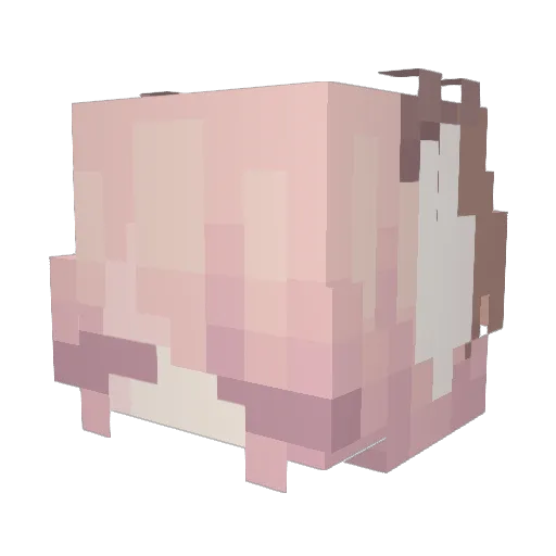 GeniusPink16 Minecraft avatar head, 3D render