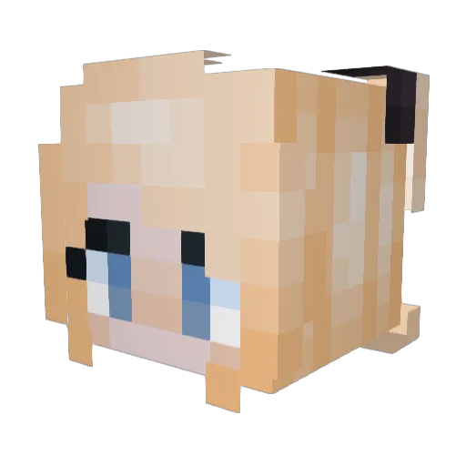 Genocide_Jills Minecraft avatar head, 3D render