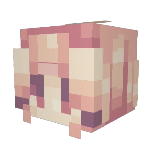 Genoebi Minecraft avatar head, 3D render