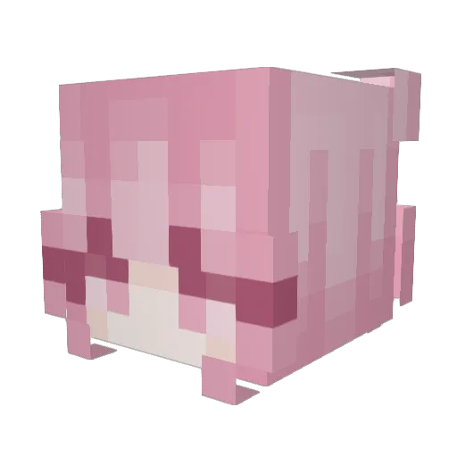 Gentianae Minecraft avatar head, 3D render