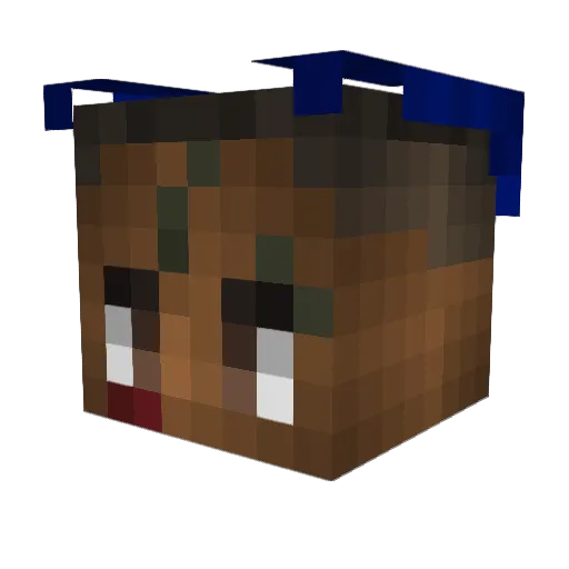 Gentry5962 Minecraft avatar head, 3D render