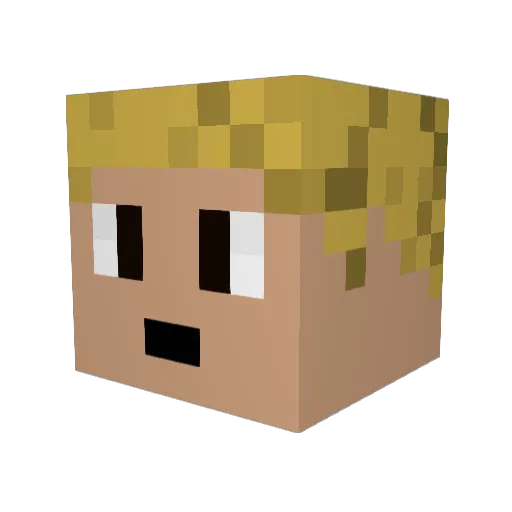GenvenLoon12345 Minecraft avatar head, 3D render