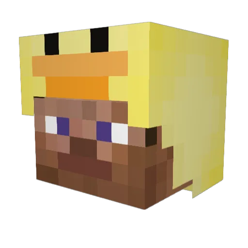 Genzil803 Minecraft avatar head, 3D render