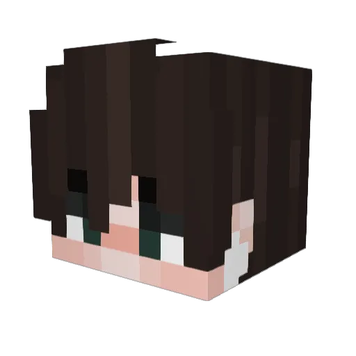Geo2511 Minecraft avatar head, 3D render