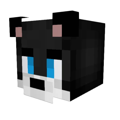 GeoFr1lleX Minecraft avatar head, 3D render