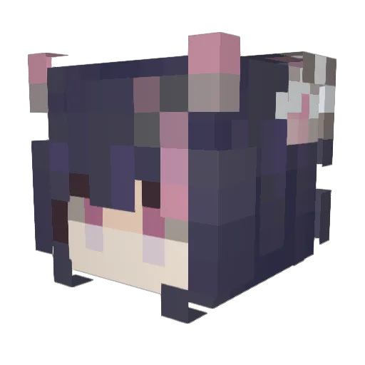 Geometry_coco Minecraft avatar head, 3D render