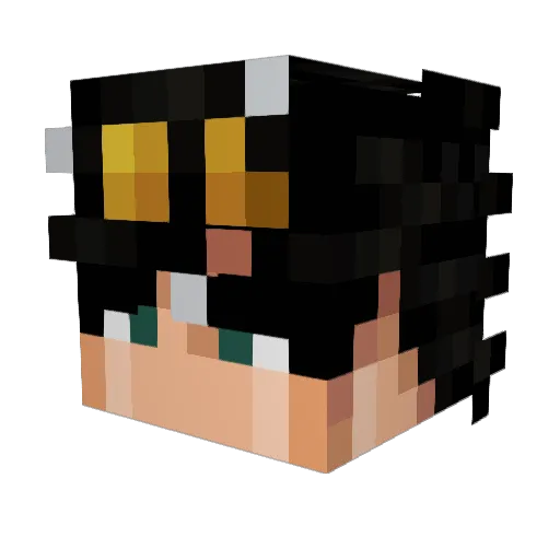 GeorgeBushDidIt Minecraft avatar head, 3D render