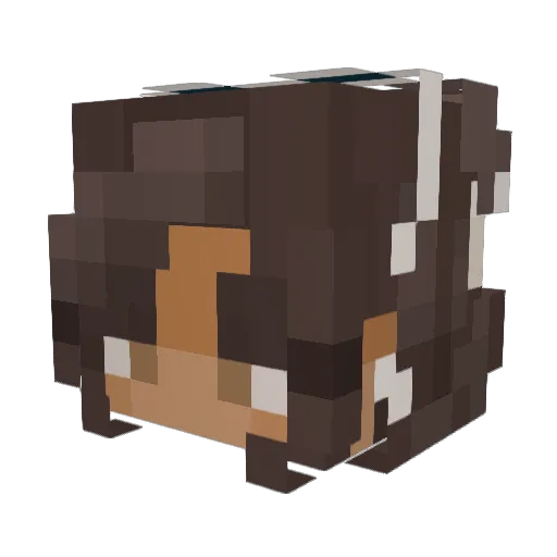 Georgie58 Minecraft avatar head, 3D render