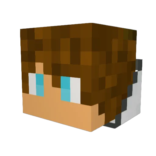 Gerald1103 Minecraft avatar head, 3D render