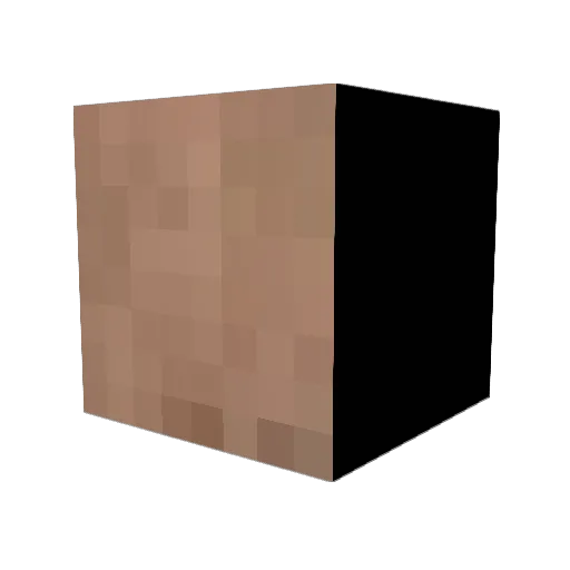 Geraspte_Kaas Minecraft avatar head, 3D render